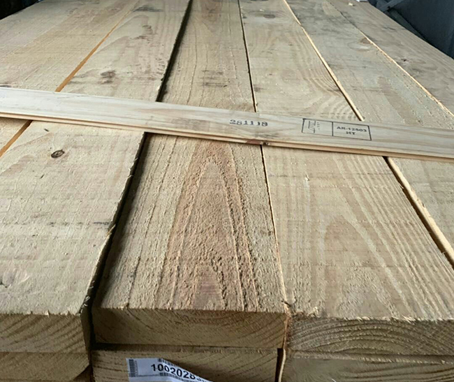 麻章阿根廷松木